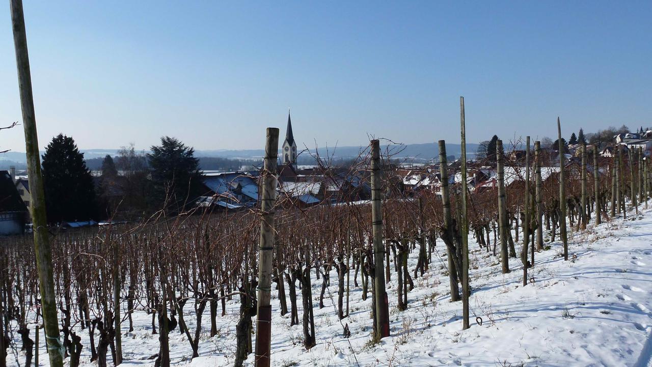 Bed & Breakfast Im Chellhof Benken  Экстерьер фото